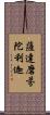 薩達磨芬陀利迦 Scroll