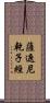 薩遮尼乾子經 Scroll