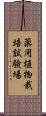 薬用植物栽培試験場 Scroll