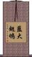 藍大翅鴝 Scroll