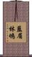 藍眉林鴝 Scroll