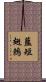 藍短翅鶇 Scroll