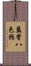 藍背八色鶇 Scroll