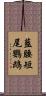 藍腰短尾鸚鵡 Scroll