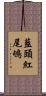 藍頭紅尾鴝 Scroll