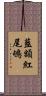 藍額紅尾鴝 Scroll