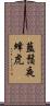 藍鬚夜蜂虎 Scroll