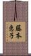藤本恵子 Scroll