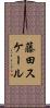 藤田スケール Scroll