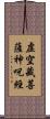 虛空藏菩薩神呪經 Scroll
