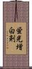 蛍光増白剤 Scroll