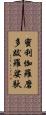 蜜利伽羅磨多跋羅娑馱 Scroll
