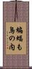 蝙蝠も鳥の内 Scroll