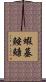 蝦蟇鮟鱇 Scroll