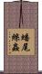 蟠尾絲蟲 Scroll