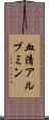 血清アルブミン Scroll