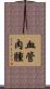 血管肉腫 Scroll