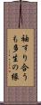 袖すり合うも多生の縁 Scroll