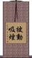 被動吸煙 Scroll