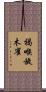 褐喉旋木雀 Scroll