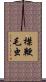 襟鞭毛虫 Scroll