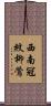 西南冠紋柳鶯 Scroll