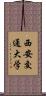西安交通大学 Scroll