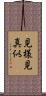 見様見真似 Scroll