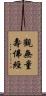 觀無量壽佛經 Scroll