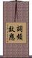 詞頻效應 Scroll