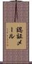 認証メール Scroll