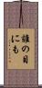 誰の目にも Scroll