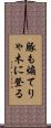 豚も煽てりゃ木に登る Scroll
