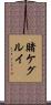 Kakegurui Scroll