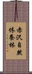 赤沢自然休養林 Scroll