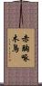 赤胸啄木鳥 Scroll