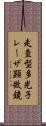 走査型多光子レーザ顕微鏡 Scroll
