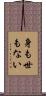 身も世もない Scroll