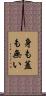 身も蓋も無い Scroll