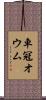 車冠オウム Scroll
