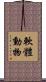 軟體動物 Scroll
