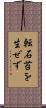 転石苔を生ぜず Scroll