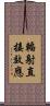 輻射直接效應 Scroll