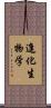 進化生物学 Scroll
