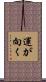 運が向く Scroll