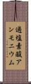 過塩素酸アンモニウム Scroll