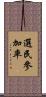選民參加率 Scroll