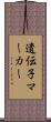 遺伝子マーカー Scroll