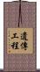 遺傳工程 Scroll
