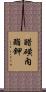 醋磺內酯鉀 Scroll